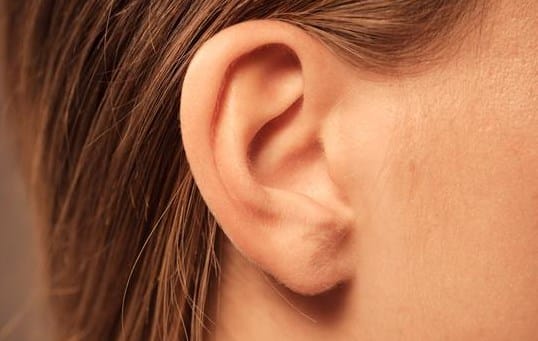 Telinga Pengertian Struktur Fungsi Bagian Dan Menjaga Kesehatannya