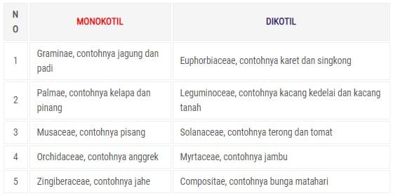 Perbedaan Klasifikasi Monokotil Dan Dikotil